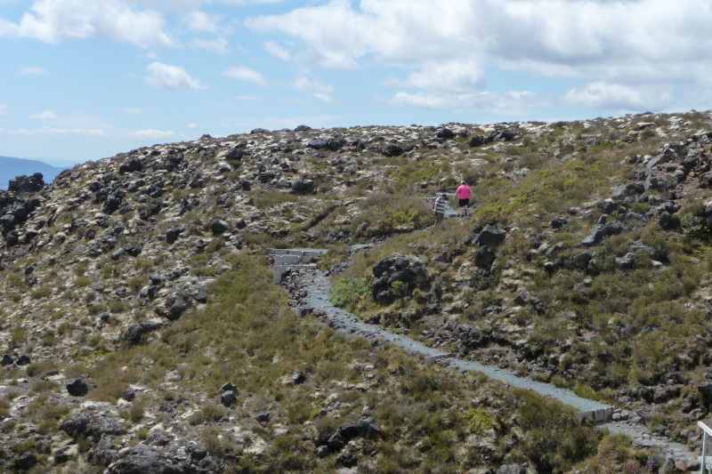 Nieuw-Zeeland 2011 - 0865